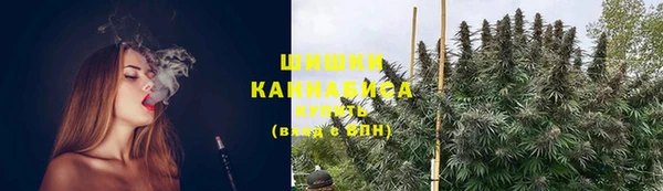 шишки Алексеевка